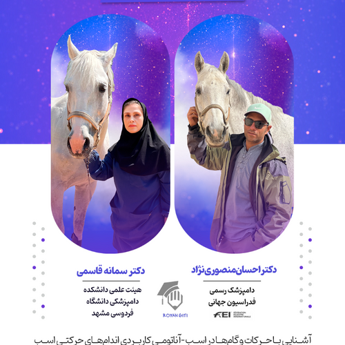 مدیریت و تشخیص لنگش در اسب